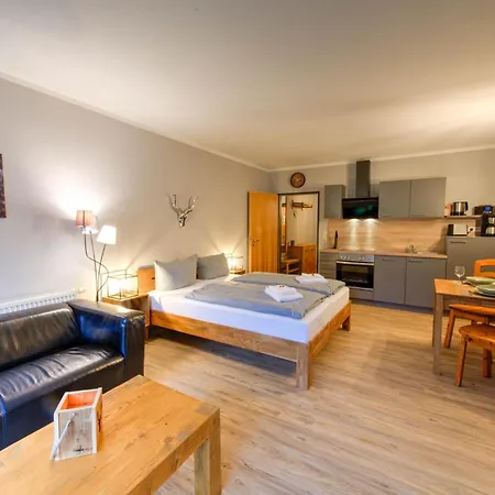 Auszeit-im-harz Haus 5 11 Apartamento *