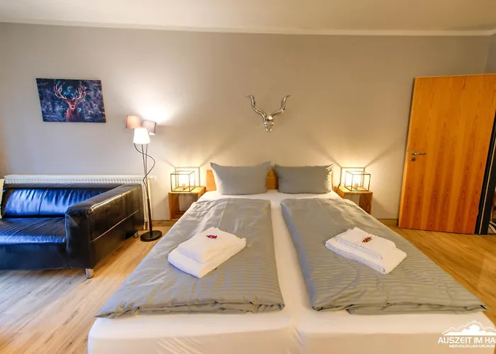 Auszeit-im-harz Haus 5 11 Lejlighed *