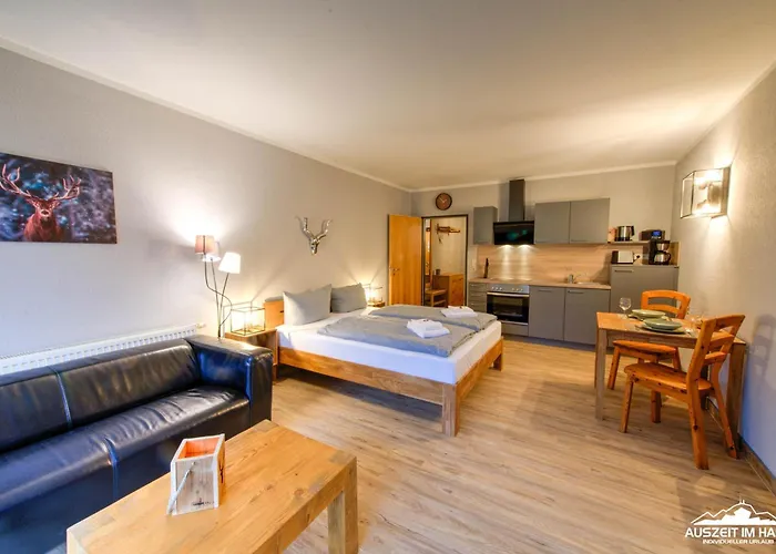 Auszeit-im-harz Haus 5 11 Lejlighed *