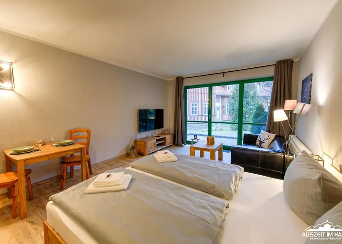 Auszeit-im-harz Haus 5 11 Lejlighed Stiege